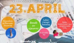 Aktivitetsdag-23.april-17-1